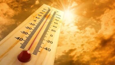 أبو اللهاليب حضر.. الأرصاد تحذر من موجة حر شديدة ورطوبة خانقة