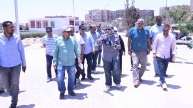 استكمال تطوير ورفع كفاءة محور الريفيرا لخدمة توسعات الشيخ زايد