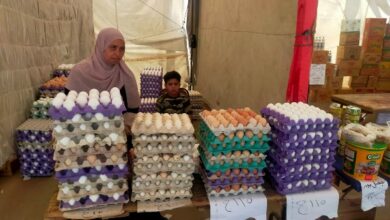 استمرار انطلاق أسواق اليوم الواحد الجمعة والسبت كل أسبوع