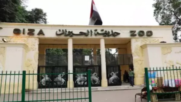الاستعانة بكبرى الشركات العالمية لتقديم الدعم الفني وتدريب العاملين بحديقة الحيوان