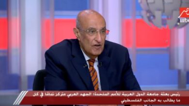 الجهد العربي المجمع حقق نتائج إيجابية لصالح القضية الفلسطينية