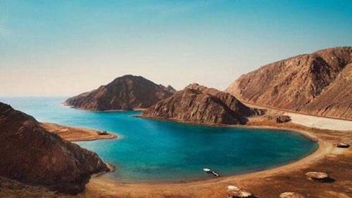 الذئب الذهبي .. أحدث اكتشافات محمية نبق