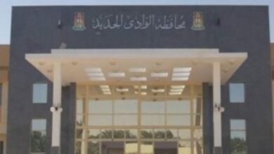 الوادى الجديد تعلن فرص تدريب مجانى على تطبيقات الحاسب الآلى