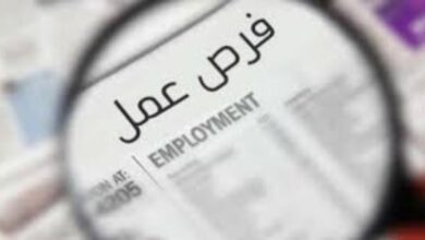 برواتب تصل إلى 13 ألف جنيه.. العمل تعلن عن وظائف جديدة في قطاع الكهرباء