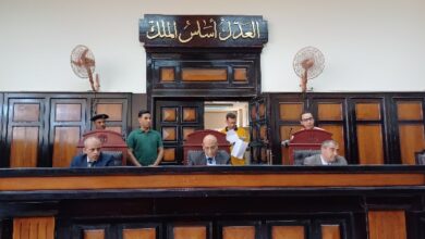 بسبب خلافات الجيرة .. المشدد 7 سنوات لـ عامل أنهى حياة جاره وأصاب ابنه بأسيوط