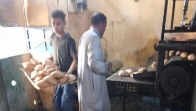 تموين أسوان تضبط 388 مخالفة متنوعة في مجال المخابز البلدية والأسواق