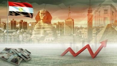 فرص عمل بالآلاف.. مكاسب زيارة رئيس مجلس الدولة الصيني لمصر