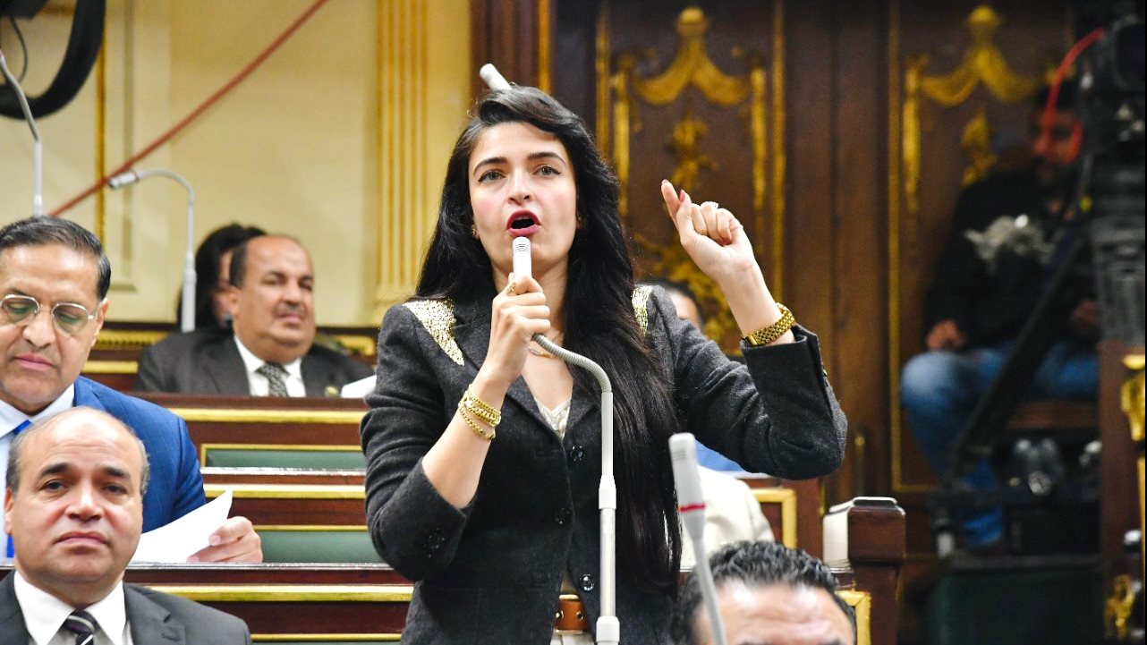 قانون المهن الطبية يضمن تحقيق المساواة لأفراد المهنة