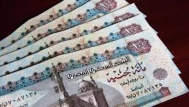 كيفية الحصول على معاش ربات البيوت بدون وظيفة
