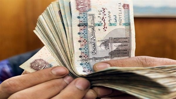 مع صرفها رسميا لموظفي الحكومة في يوليو.. تفاصيل وموعد العلاوة الدورية للقطاع الخاص